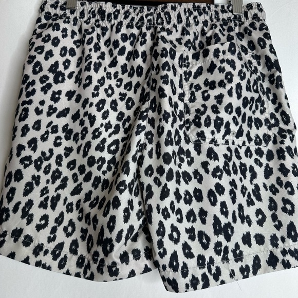 Pacsun Swim Trunks - Picture 2 of 6